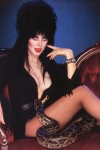 Elvira wearing black pantyhose