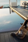 Vanessa Hudgens wearing hosiery near the pool
